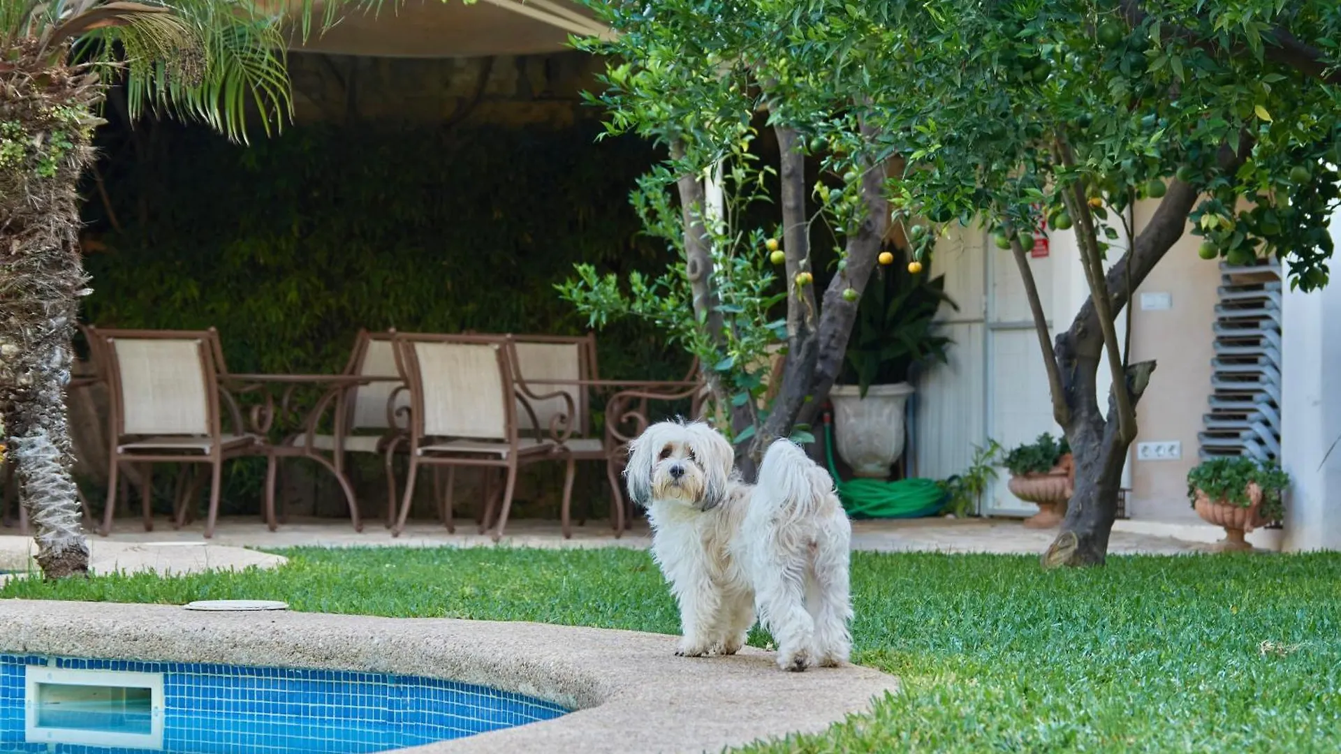 Son Sant Jordi Hotel Pollenca